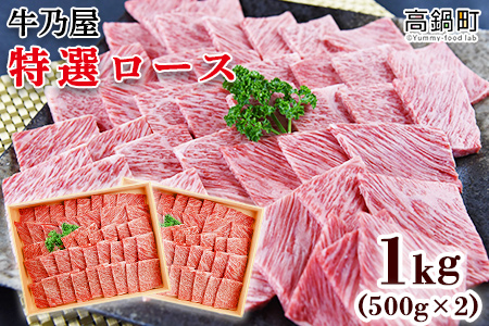 ＜黒毛和牛特選ロース1kg(500g×2)＞翌月末迄に順次出荷【c791_tf_x1】