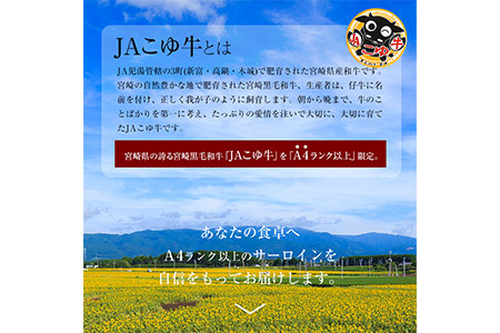 <JAこゆ牛A4ランク以上サーロインステーキ 250g程度×3枚>翌月末迄に順次出荷【c149_ja_x1】