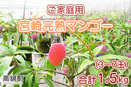 宮崎県産完熟マンゴー 1.5kg ご家庭用（3～7玉）＞2023年6月上旬から