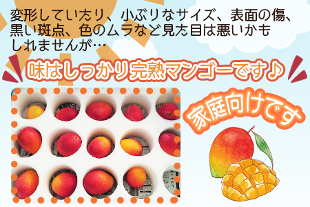 のぼり「リサイクル」 宮崎県産完熟マンゴー 約1.8キロ - 通販