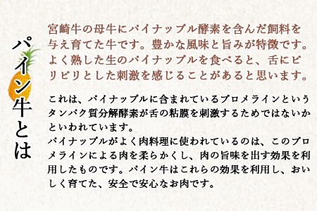 ＜パイン牛赤身とろフレーク 50g×5＞2か月以内に順次出荷【c824_yu_x2】