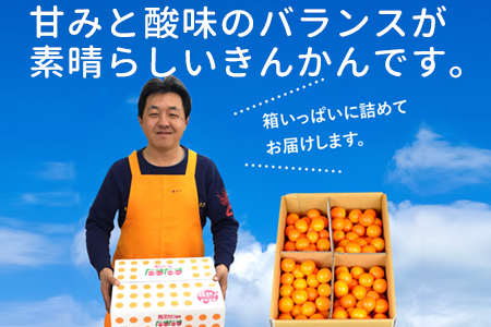 ＜“厳選”完熟きんかん「たまたま」2L×3kg 1箱＞2025年1月下旬～2月下旬迄に順次出荷【c274_mm_x6】 金柑 柑橘 果物