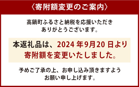 ＜呑んべえ 6か月定期便（タカラ 焼酎ハイボール レモン 500ml×24本）＞翌月中旬頃に第一回目を発送（※1月・8月は下旬頃）【c877_mz_x3】