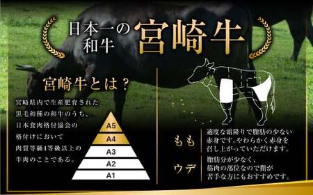 宮崎和牛焼肉セット計1.2kg＞翌月末迄に順次出荷【c438_hn_x1】 | 宮崎