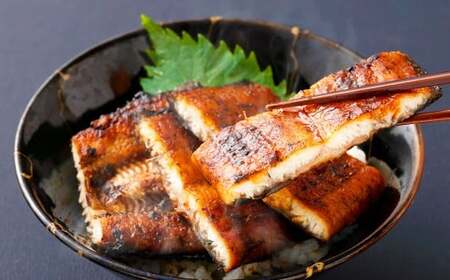 ＜うなぎ蒲焼 （175～200g）×2尾＞翌月末迄に順次出荷【c972_un_x3】