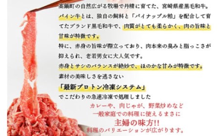 ＜パイン牛切り落とし 500g×2＞翌月末迄に順次出荷【c823_yu_x3】