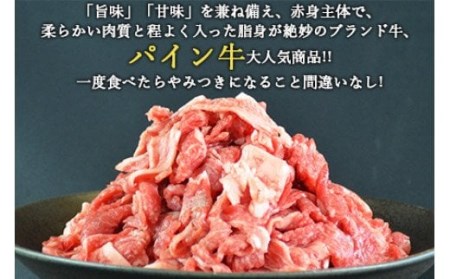 ＜パイン牛切り落とし 500g×2＞翌月末迄に順次出荷【c823_yu_x3】