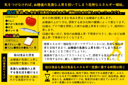 宮崎エナジージェル 低GI 9個＋ボトル3本セット＞翌月末迄に順次出荷