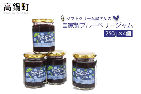 <自家製ブルーベリージャム250g×4>2か月以内に順次出荷【c491_sn】