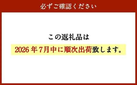 【先行予約】<宮崎県産ライチ1kg>2026年7月中に順次出荷【c071_mk_x6】