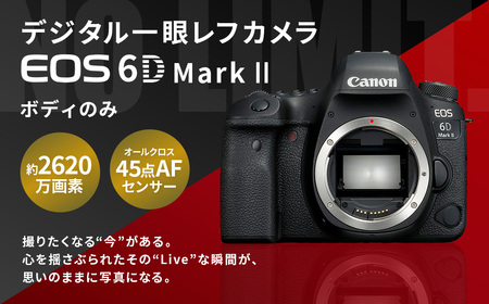 キャノン canon EOS 6d mark2 バッテリー3本付き☆ 美品