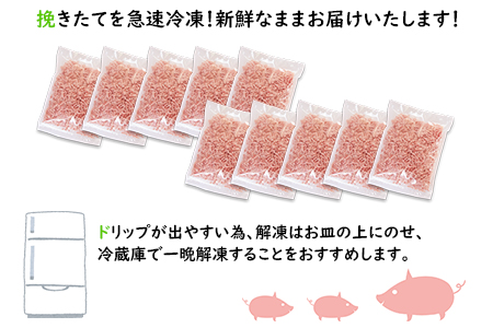 ＜宮崎県産豚ミンチ5.0kg＞2か月以内に順次出荷します【c553_hn_x1】