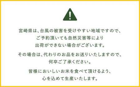 ＜令和6年産「宮崎県産ヒノヒカリ（無洗米）」10kg 3か月定期便＞ 11月中旬以降に第1回目発送（8月は下旬頃）【c588_ku_x9】  米 ヒノヒカリ 定期便 コメ 無洗米