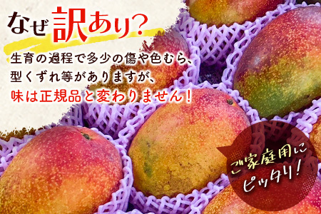 宮崎県産「訳あり」完熟 マンゴー 約2kg（4～8玉）先行予約 南国 フルーツ 果物【C400-26】