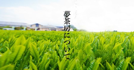 深蒸し煎茶・深蒸し茎煎茶セット【B5】