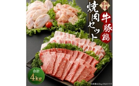 宮崎県産 牛 豚 鶏 焼肉セット 計4kg E72 宮崎県新富町 ふるさと納税サイト ふるなび