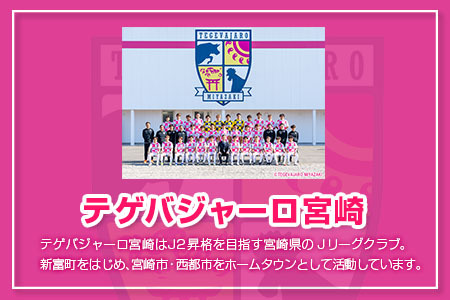 テゲバジャーロ宮崎　応援グッズセット　サッカー Jリーグ 公式 送料無料【B642】