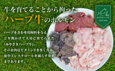 小分けで便利<宮崎ハーブ牛>ミックスホルモン(200g×5パック)計1kg【C201】