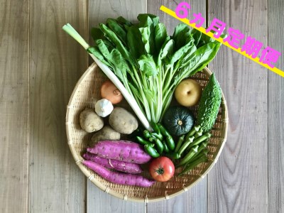 宮崎県産の新鮮野菜の8種盛セット!6ヵ月定期便【E74】