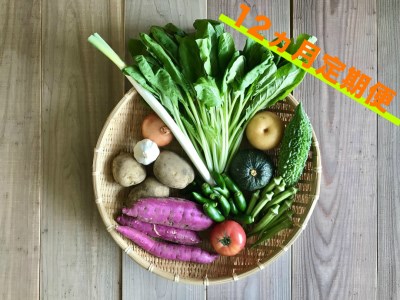 宮崎県産の新鮮野菜の8種盛セット!12ヵ月定期便【E75】