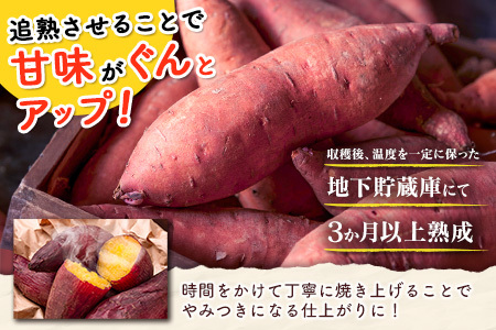 特製焼き芋！熟成蜜芋「紅はるか」計2kg 国産 新富町産［12月～5月出荷］さつまいも ねっとり焼芋 イモ【A310-1205】