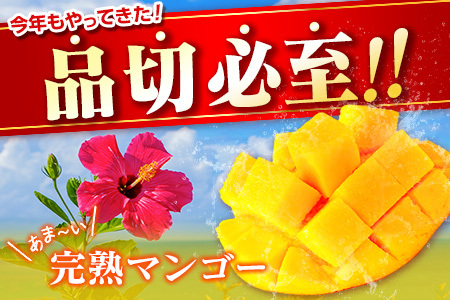先行予約 <訳あり> 完熟マンゴー 宮崎県産 2Lサイズ 2玉 フルーツ 果物【B615-26】
