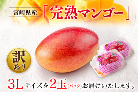先行予約 <訳あり> 完熟マンゴー 宮崎県産 3Lサイズ 2玉 フルーツ 果物【B616-26】