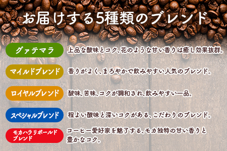 本格珈琲店のオリジナル ドリップ コーヒー 『HIRO』5種 飲み比べ セット 各10袋 8g×50個【C432】