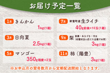 ＜奇数月全6回＞フルーツ 定期便 国産 果物 おすすめ 旬 宮崎県産 産地直送 マンゴー ライチ 日向夏 梨 柿 金柑【F140】