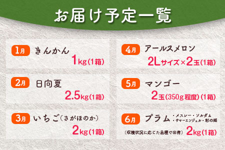 旬の宮崎 フルーツ 厳選便＜全12回＞定期便 国産 果物 おすすめ 旬 宮崎県産 産地直送 マンゴー ライチ いちご ふどう メロン【G48】