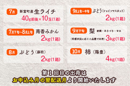 旬の宮崎 フルーツ 厳選便＜全12回＞定期便 国産 果物 おすすめ 旬 宮崎県産 産地直送 マンゴー ライチ いちご ふどう メロン【G48】