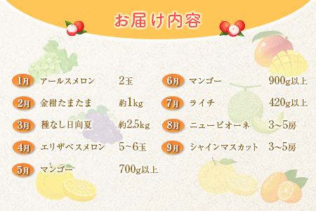 <数量限定>新富町 特産フルーツ 詰め合わせ 定期便 9か月コース くだもの マンゴー ライチ メロン シャインマスカット ぶどう 柑橘 国産【F151-26】