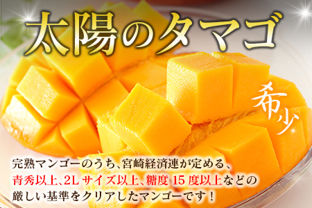 宮崎特産「太陽のタマゴ2L×2玉」お届け定期便（全3回）計6玉 特産 国産 果物 フルーツ 旬 産地直送【F145-26】