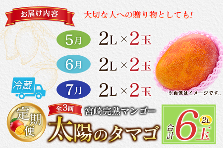 宮崎特産「太陽のタマゴ2L×2玉」お届け定期便（全3回）計6玉 特産 国産 果物 フルーツ 旬 産地直送【F145-26】