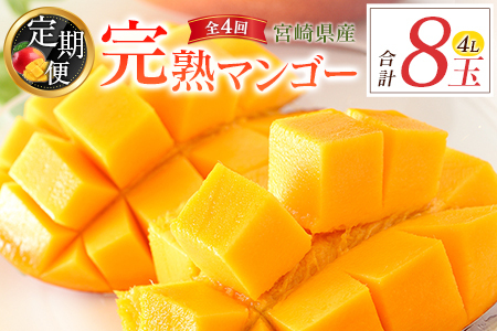 宮崎特産「完熟マンゴー4L×2玉」お届け定期便（全4回）計8玉 特産 国産 果物 フルーツ 旬 産地直送 大玉【F144-26】