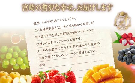 旬のくだもの定期便 「厳選コース」 全12回 マンゴー いちご マスカット 国産 宮崎【F153】