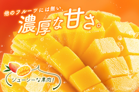 ＜数量限定＞宮崎県産 完熟マンゴー5L×1玉（650g以上）※2026年4月下旬配送開始 化粧箱入 フルーツ くだもの【C358-26】