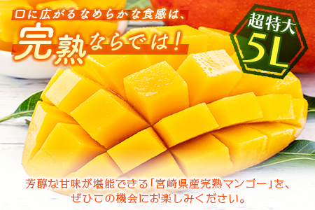 ＜数量限定＞宮崎県産 完熟マンゴー5L×1玉（650g以上）※2026年4月下旬配送開始 化粧箱入 フルーツ くだもの【C358-26】