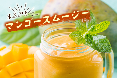 ＜数量限定＞宮崎県産 完熟マンゴー5L×1玉（650g以上）※2026年4月下旬配送開始 化粧箱入 フルーツ くだもの【C358-26】