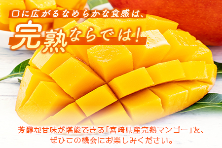 ＜数量限定＞宮崎県産 完熟マンゴー2L×2玉（計700g以上）※2026年4月下旬配送開始 化粧箱入 フルーツ くだもの【C355-26】