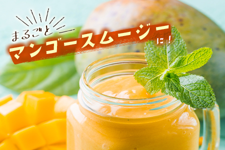 ＜数量限定＞宮崎県産 完熟マンゴー2L×2玉（計700g以上）※2026年4月下旬配送開始 化粧箱入 フルーツ くだもの【C355-26】