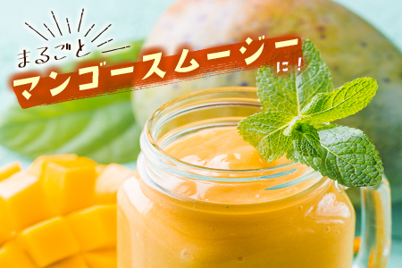 ＜数量限定＞宮崎県産 完熟マンゴーL×2玉（計620g以上）※2026年4月下旬配送開始 化粧箱入 フルーツ くだもの【B544-26】