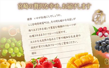 旬のくだもの定期便 「特選コース」 全12回 マンゴー いちご マスカット 国産 宮崎【G52】