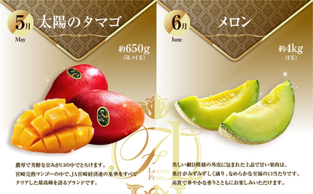 旬のくだもの定期便 「極上コース」 全12回 マンゴー いちご マスカット 国産 宮崎【G53】