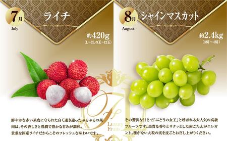 旬のくだもの定期便 「極上コース」 全12回 マンゴー いちご マスカット 国産 宮崎【G53】