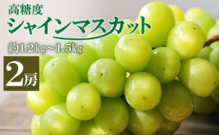 <早期予約受付>高糖度シャインマスカット2房 ※2020年9月下旬から出荷【C208】