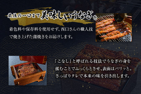 うなぎ居酒屋西口商店の鰻蒲焼き 2尾 計400g以上 宮崎県産うなぎ 有頭 国産【D141】