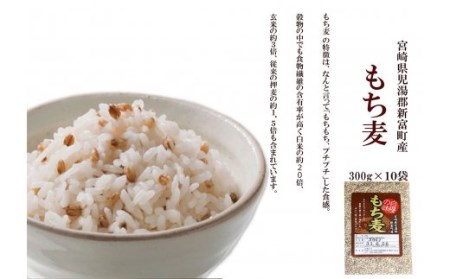 宮崎県児湯郡新富町産 もち麦(300g×10袋)【A117】