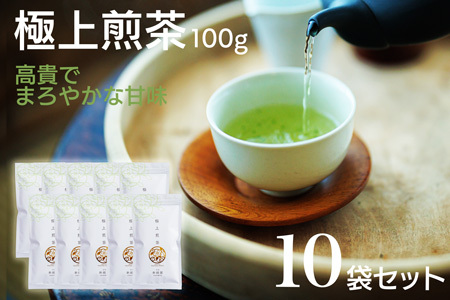 宮崎日本茶専門店 極上煎茶100g 10本セット お茶 緑茶 ギフト お取り寄せ【E232】