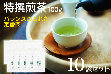 宮崎日本茶専門店 特撰煎茶100g 10本セット お茶 緑茶 ギフト お取り寄せ【E229】
